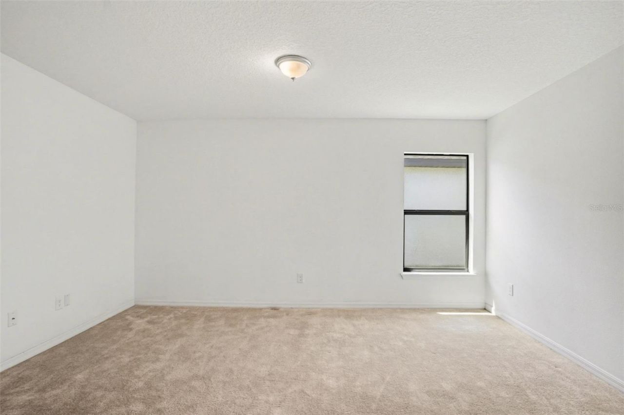 11837 Thicket Wood Drive, Riverview, FL 33579 Photo