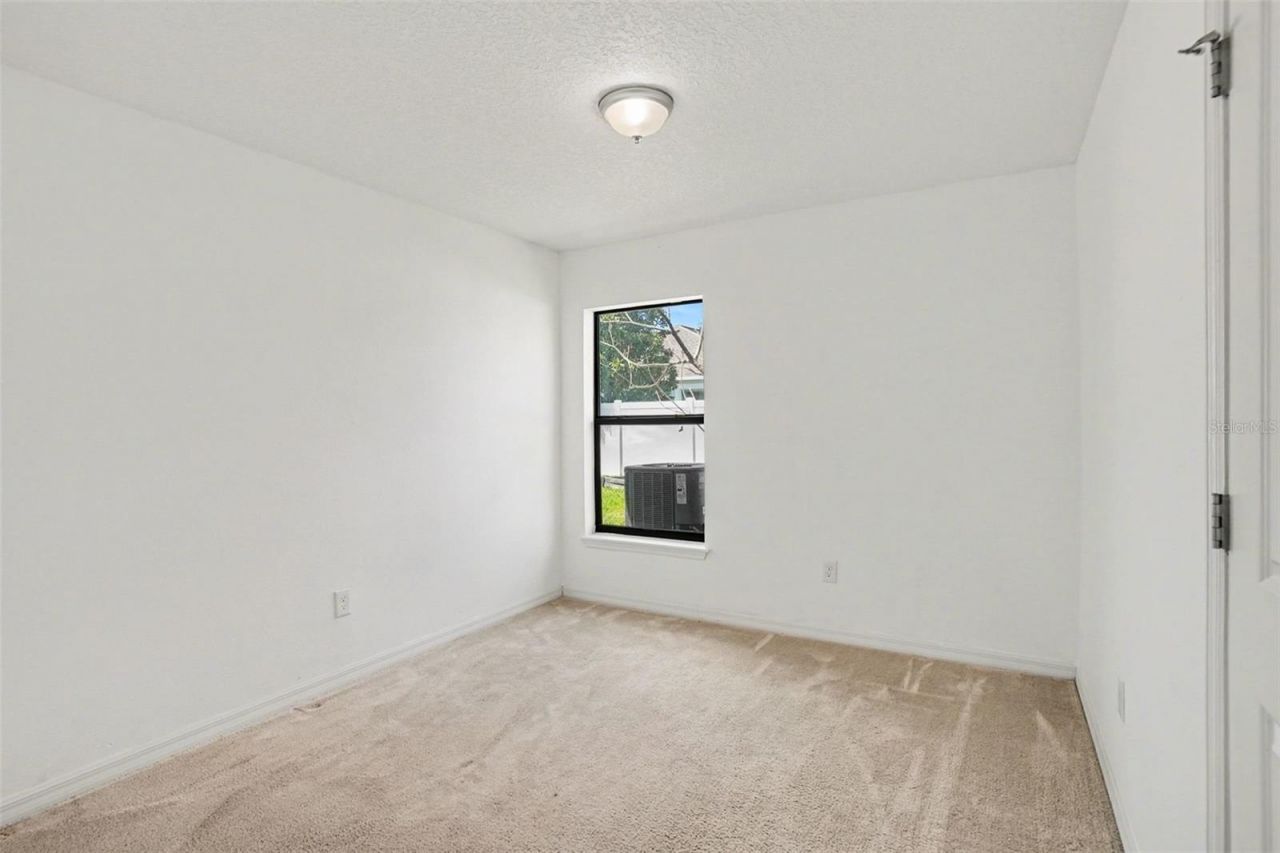 11837 Thicket Wood Drive, Riverview, FL 33579 Photo