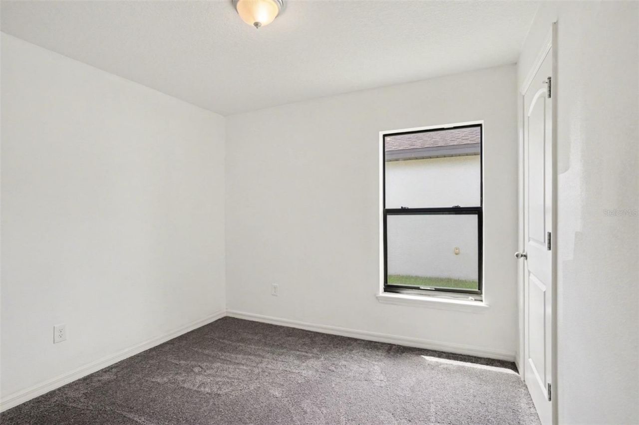 11837 Thicket Wood Drive, Riverview, FL 33579 Photo