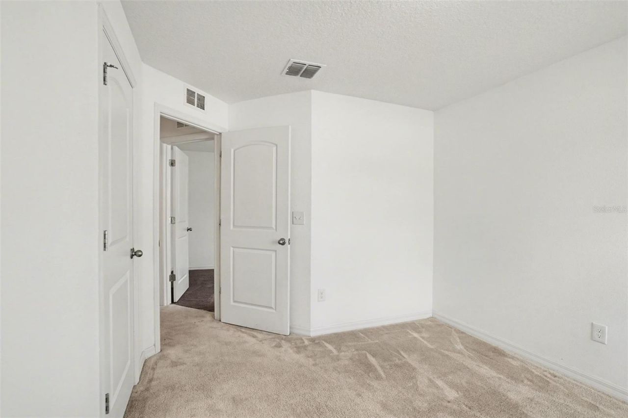 11837 Thicket Wood Drive, Riverview, FL 33579 Photo