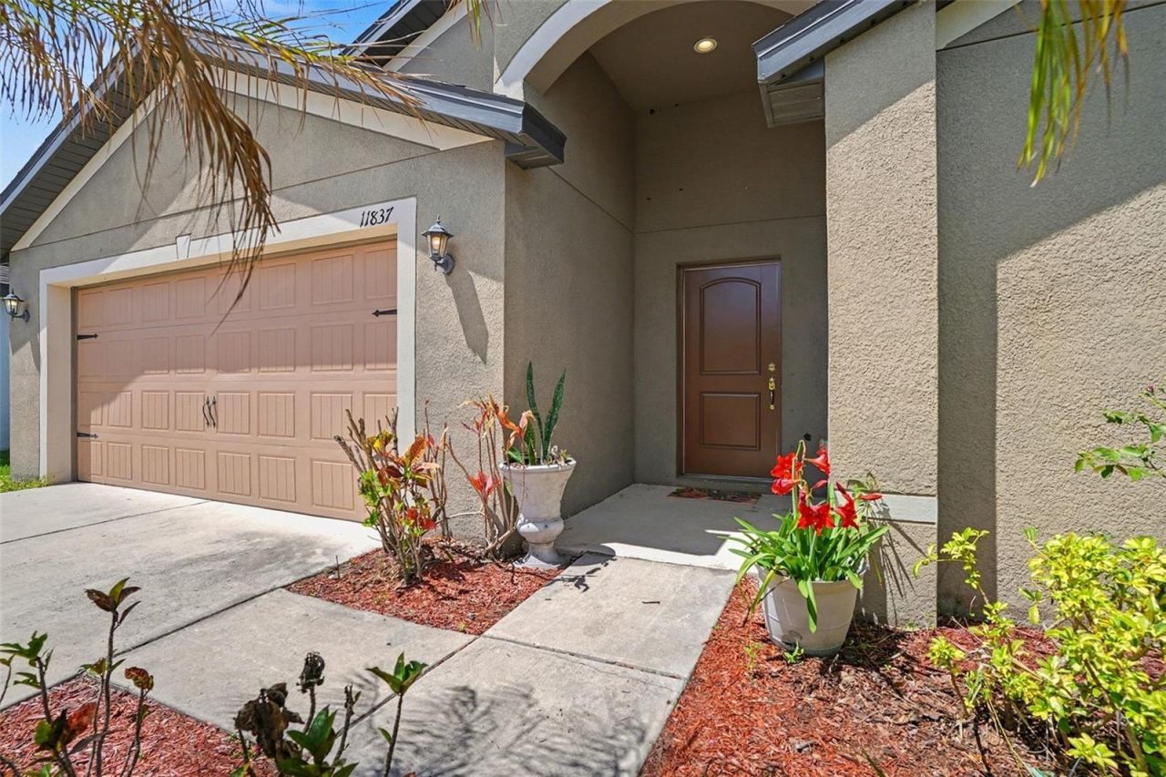 11837 Thicket Wood Drive, Riverview, FL 33579 Photo
