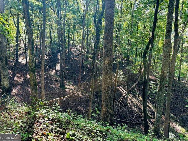 7.123 Acres Halls Mill Road, Dahlonega, GA 30533