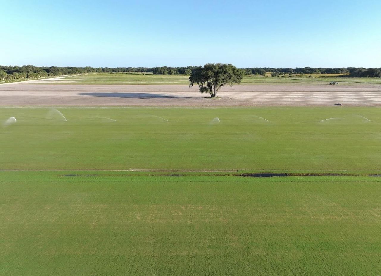 0 Dooley Grade Road, Clewiston, FL 33440 Photo
