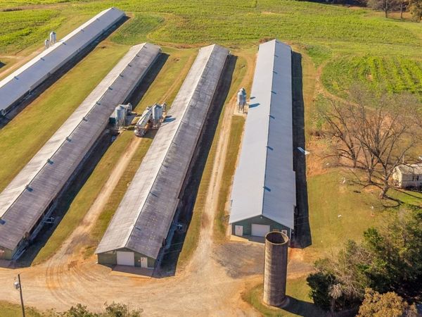 0 Royston Highway, Royston, GA 30662