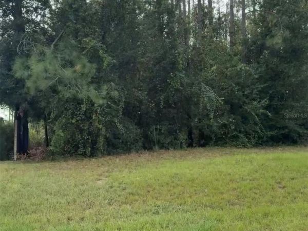 LAKE SMITH ROAD , UMATILLA, FL 32784