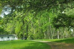 3876 New Hope Road photo 4