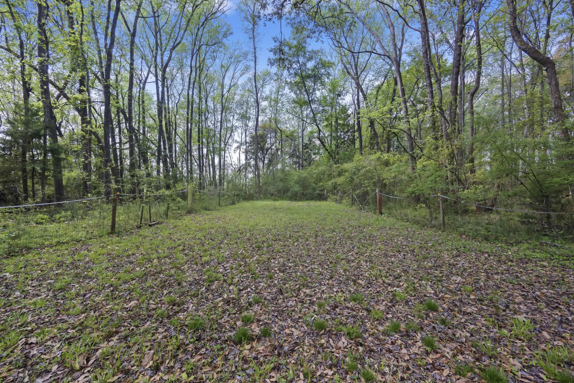 3876 New Hope Road Photo 37