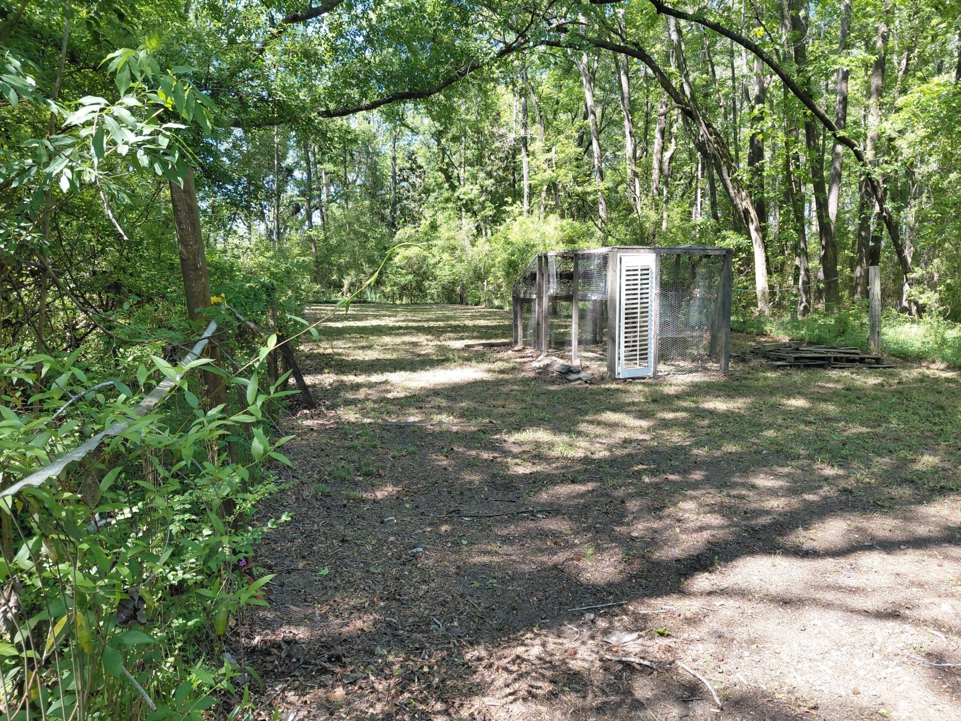 3876 New Hope Road Photo 41