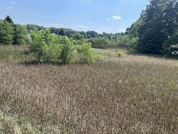 3380 Babylon Road, Allegan, MI 49010