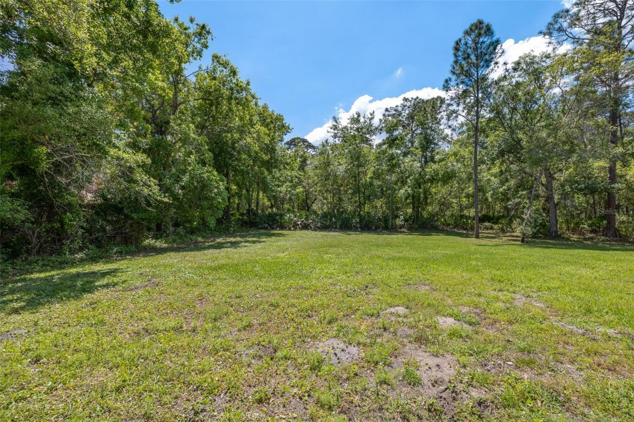 4528 Yorkshire Lane, Kissimmee, FL 34758 Photo