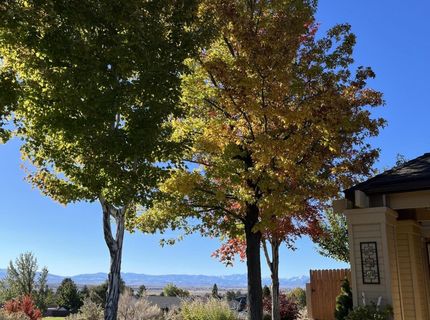 1039 Mica Drive, Carson City, NV 89705 Photo