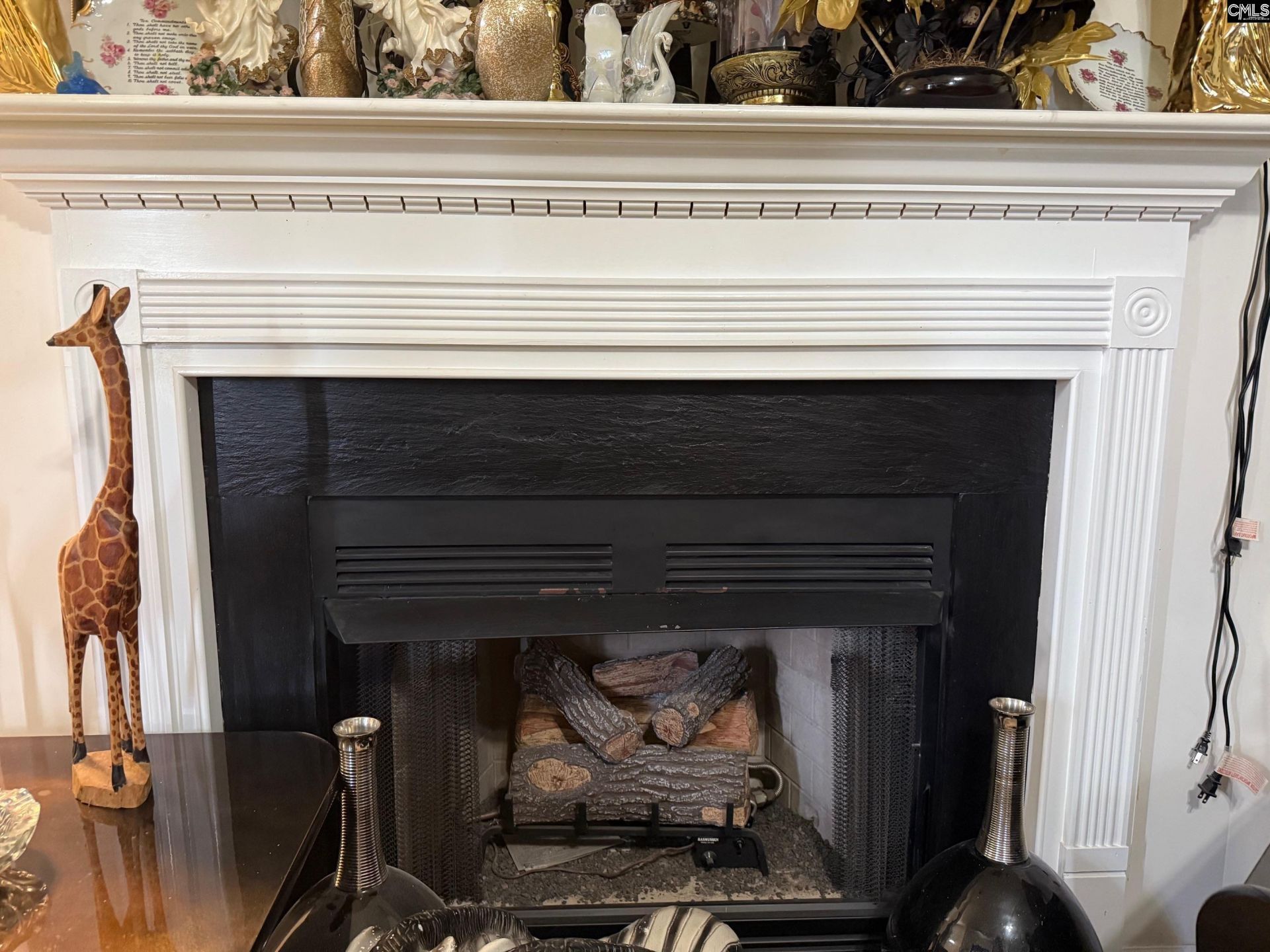 4046 W Fairmeadow Drive  Photo 18