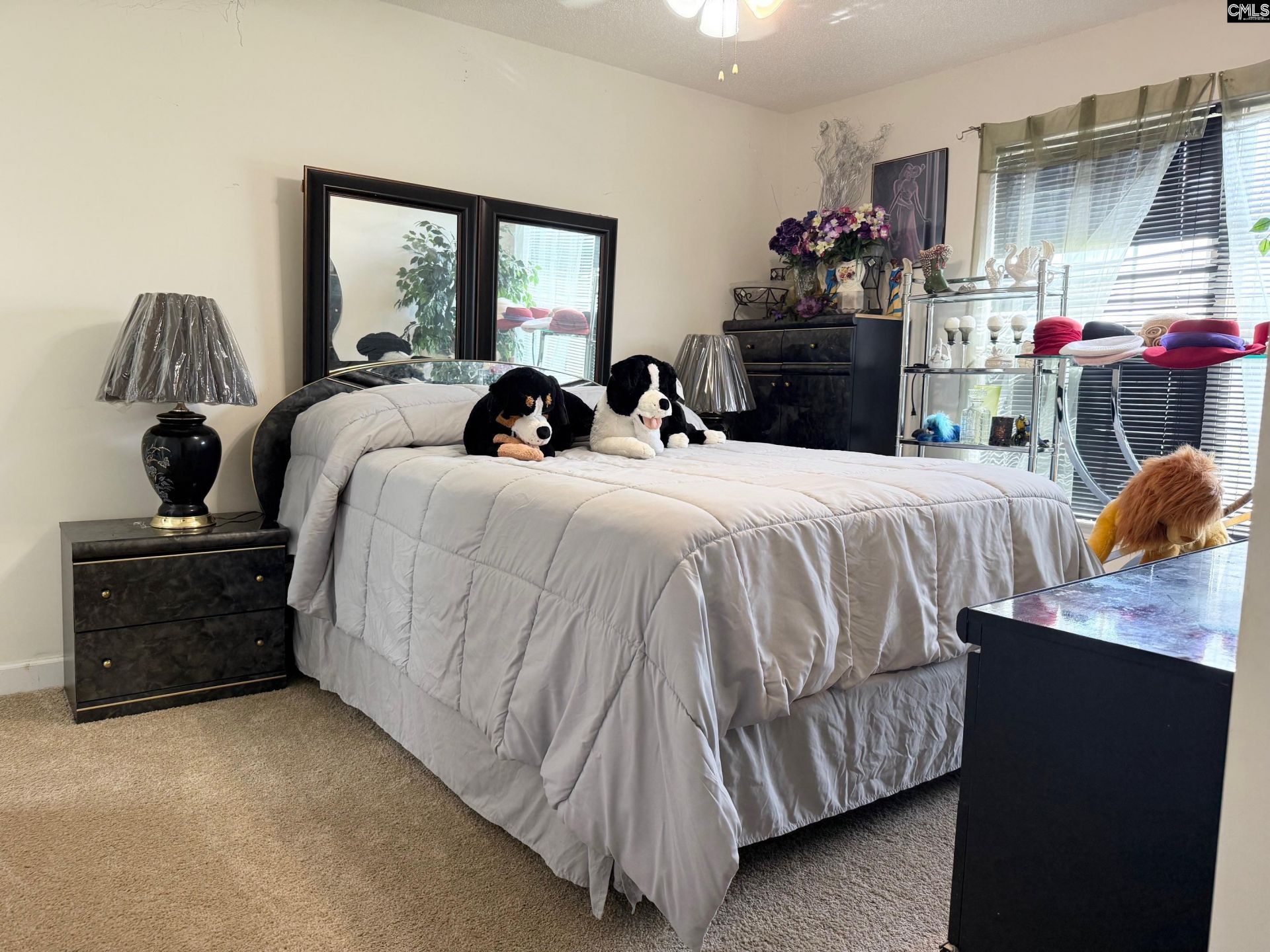 4046 W Fairmeadow Drive  Photo 20