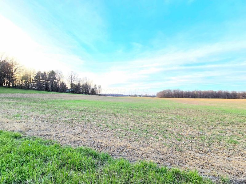 001 Township Road 179, Cardington, OH 43315 Photo 4