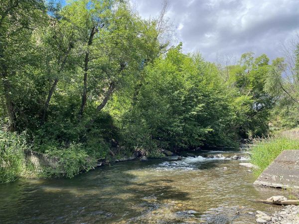 13761 Asotin Creek Road, Asotin, WA 99402