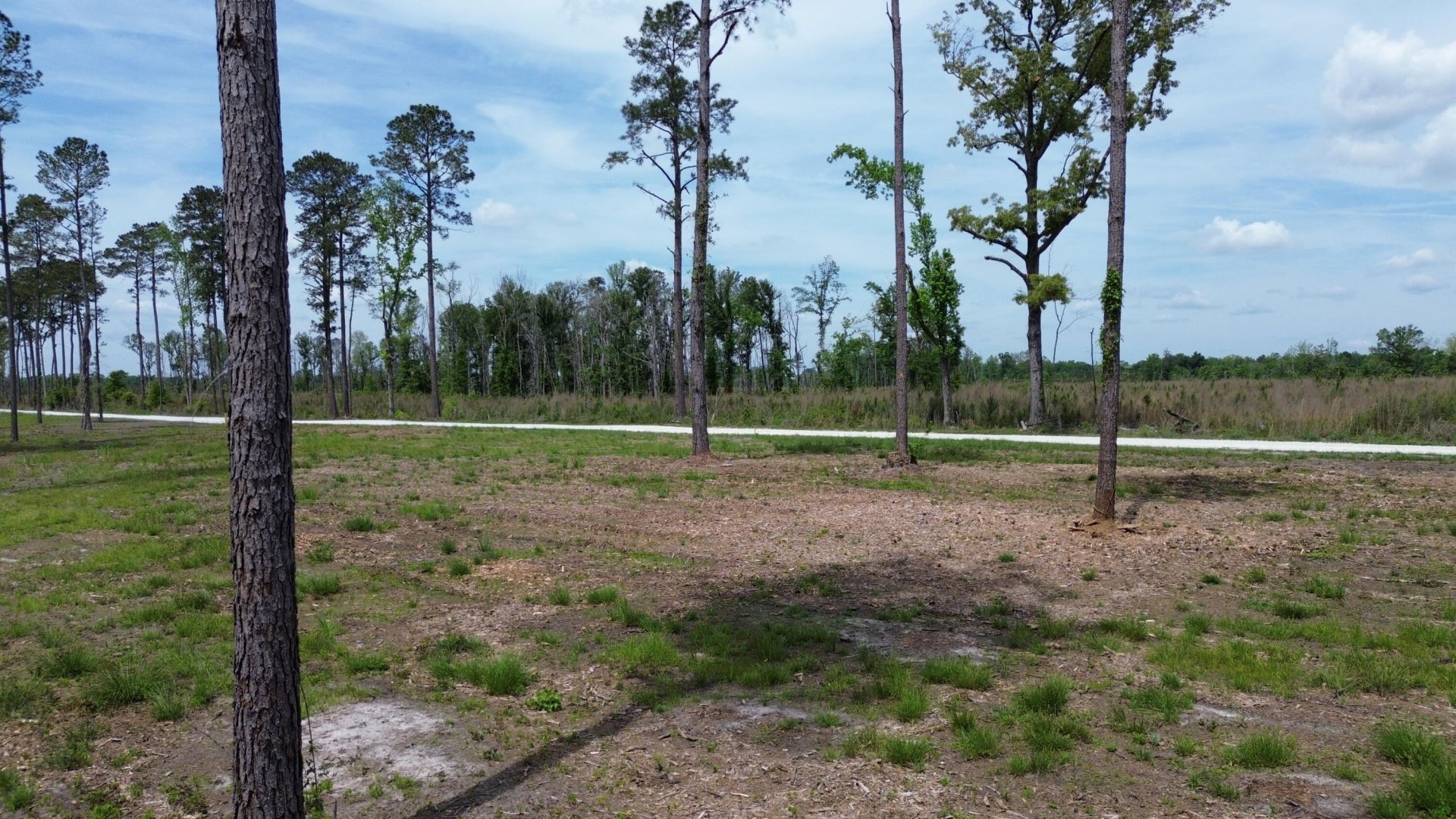 2 Highway 27 Photo 11