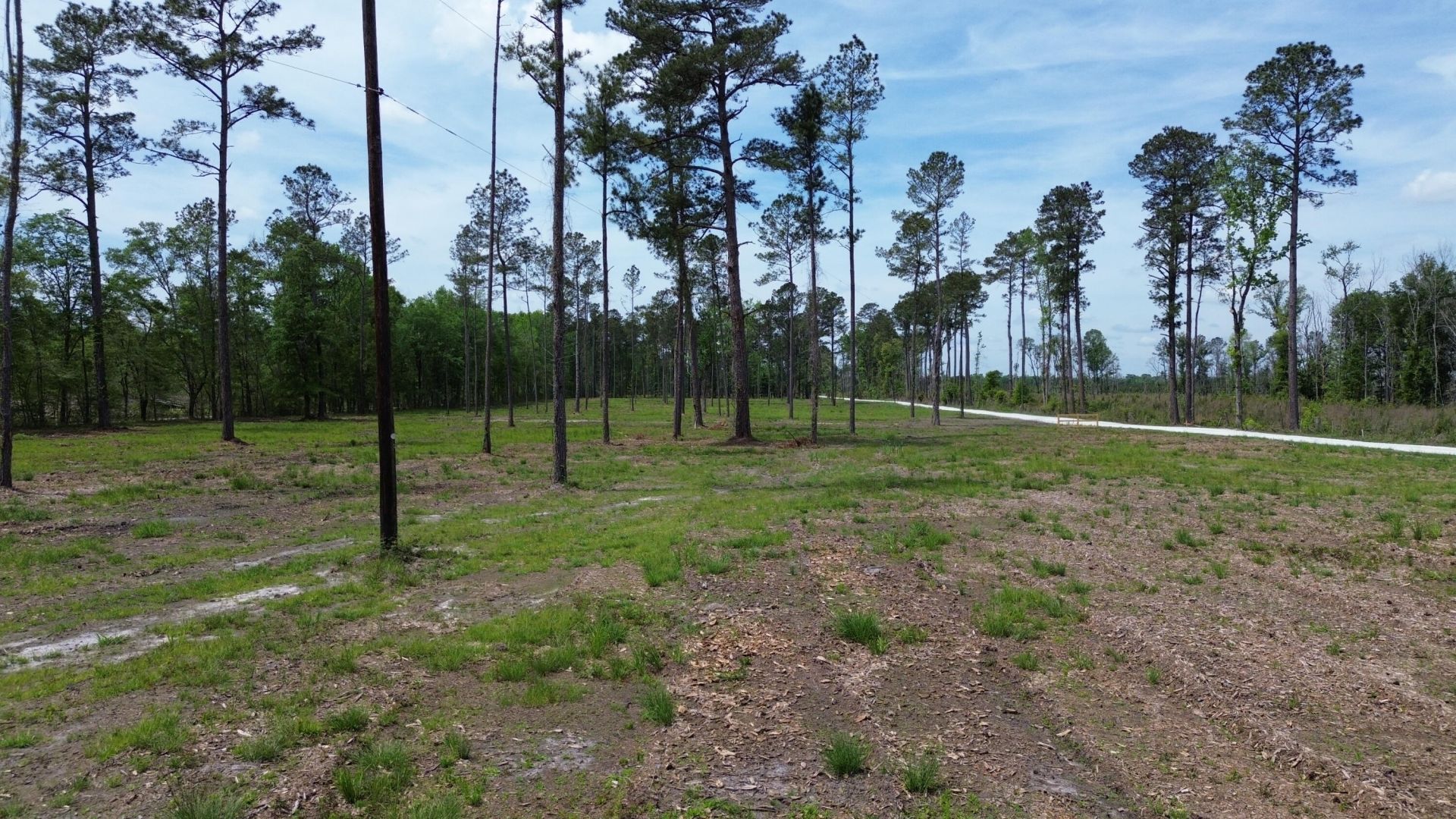 2 Highway 27 Photo 12