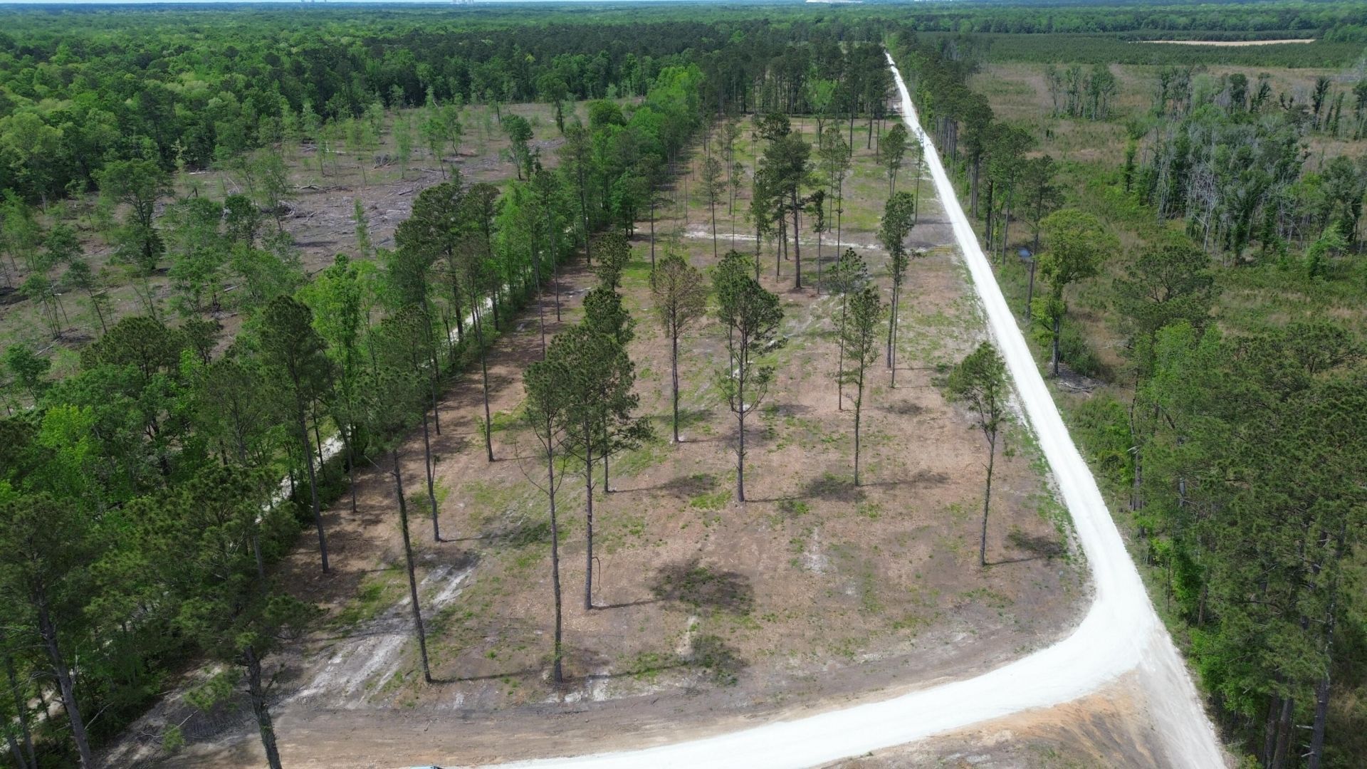 2 Highway 27 Photo 14