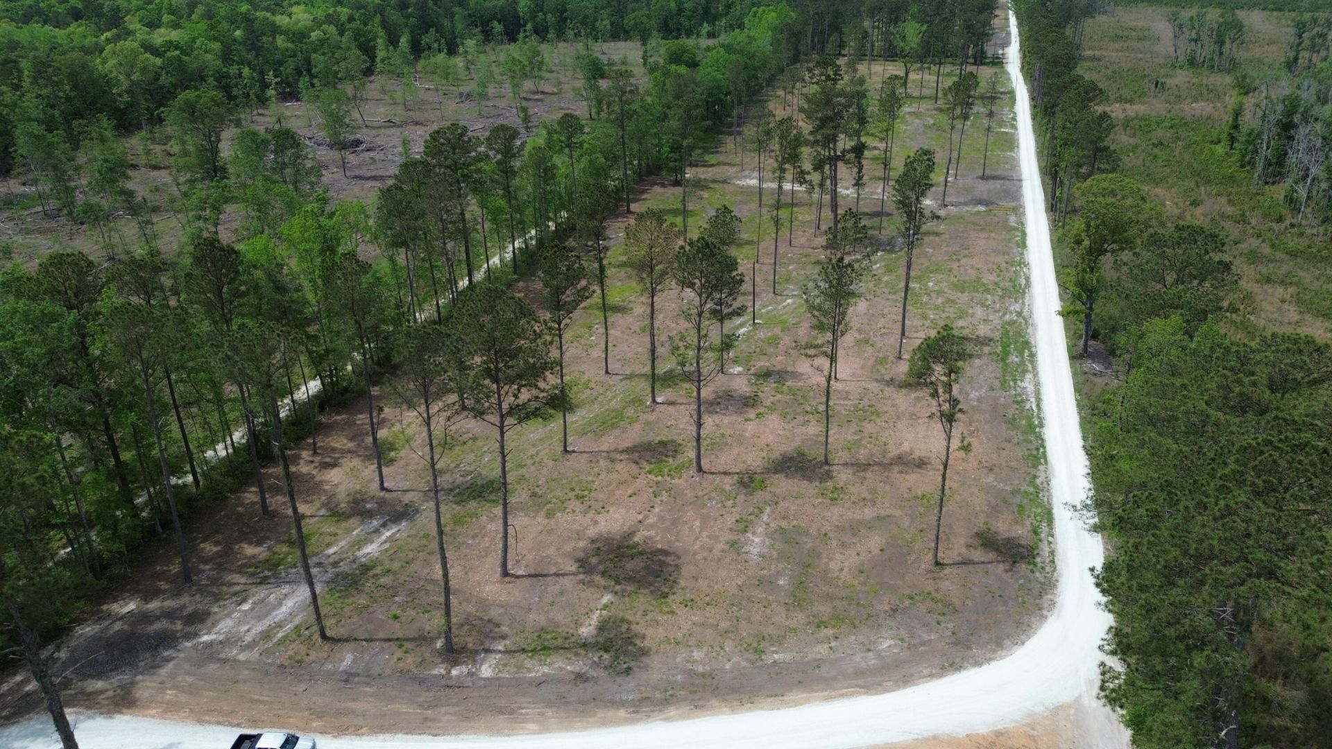 2 Highway 27 Photo 15