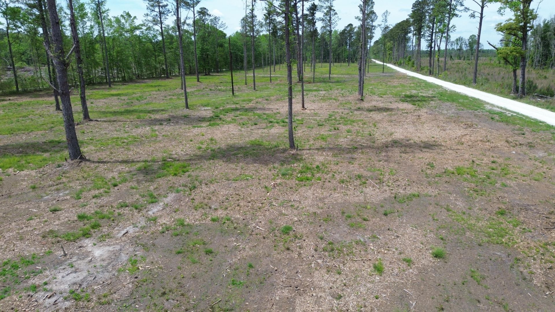 2 Highway 27 Photo 16