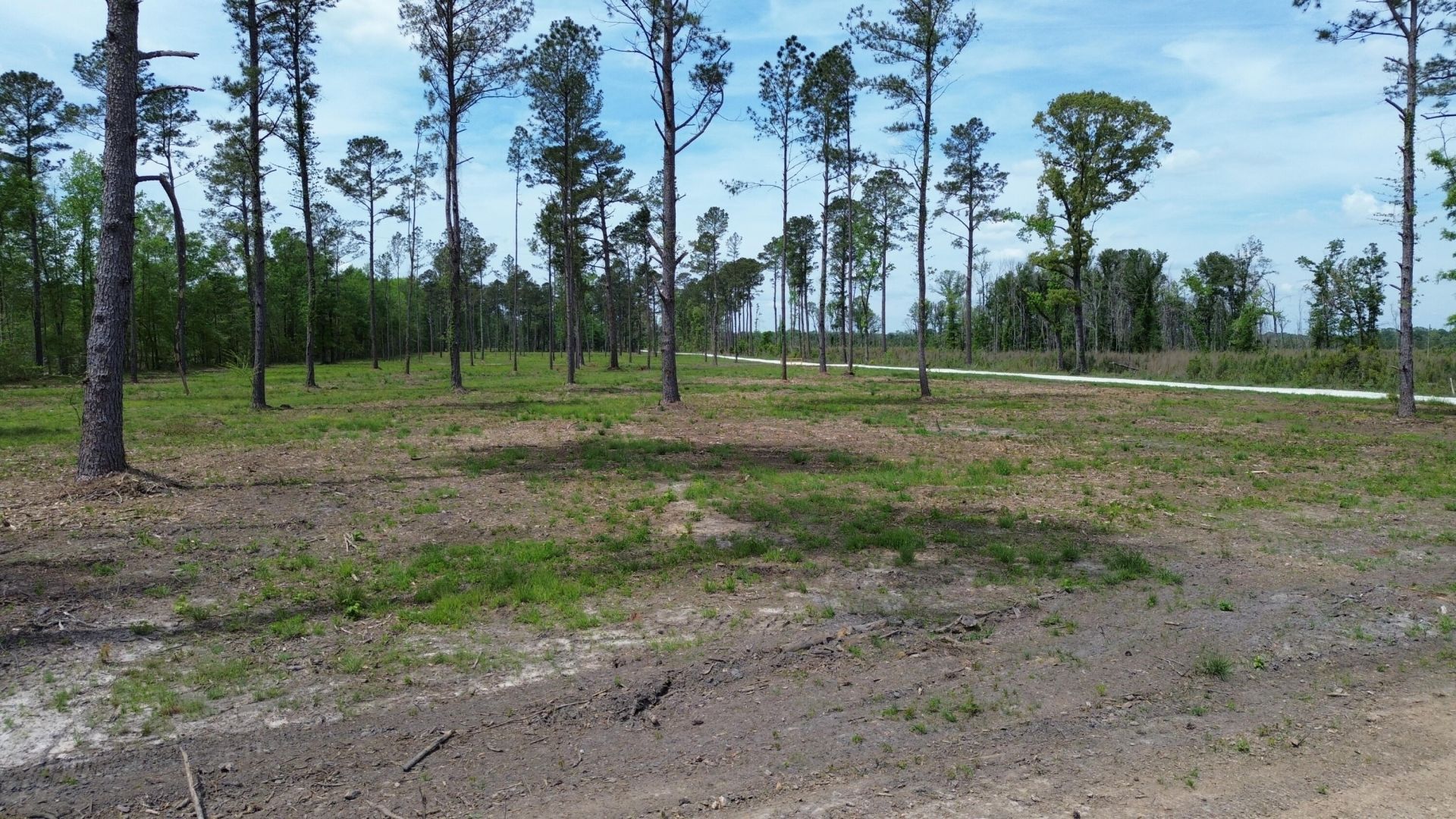 2 Highway 27 Photo 4