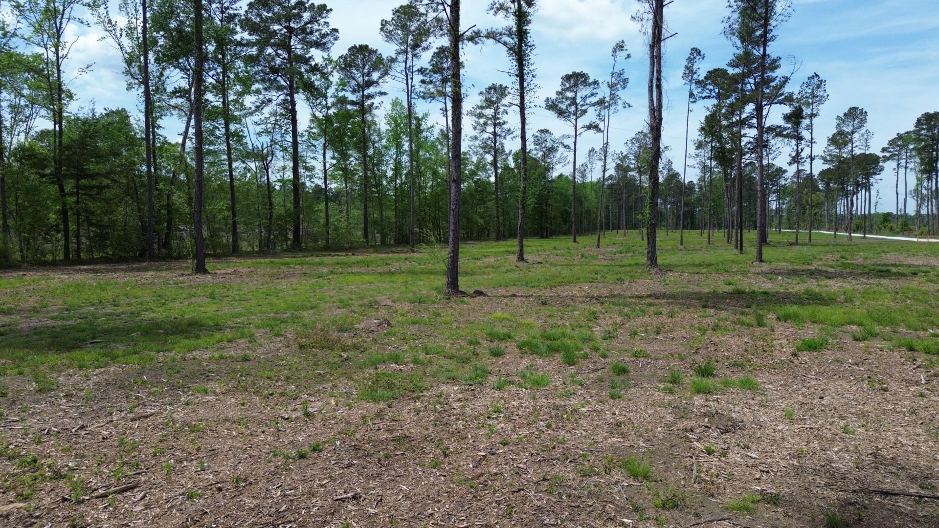 2 Highway 27 Photo 5