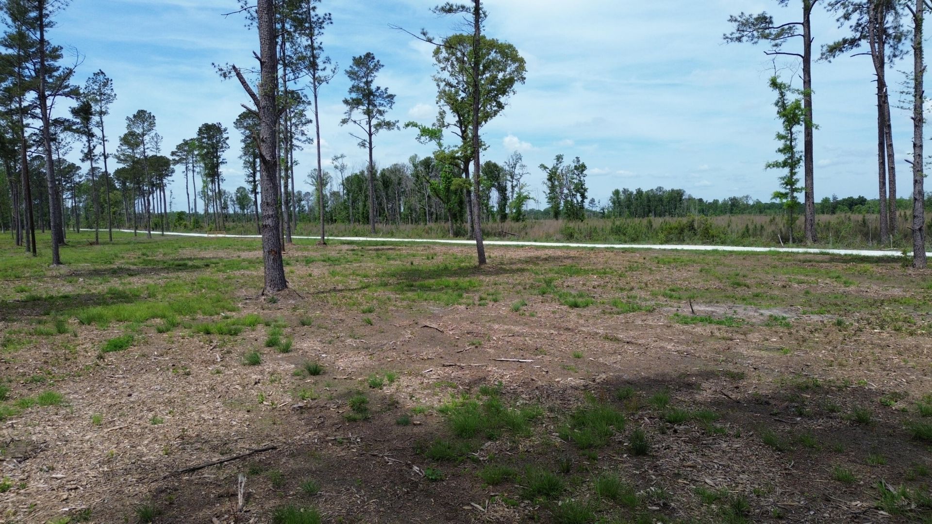 2 Highway 27 Photo 6