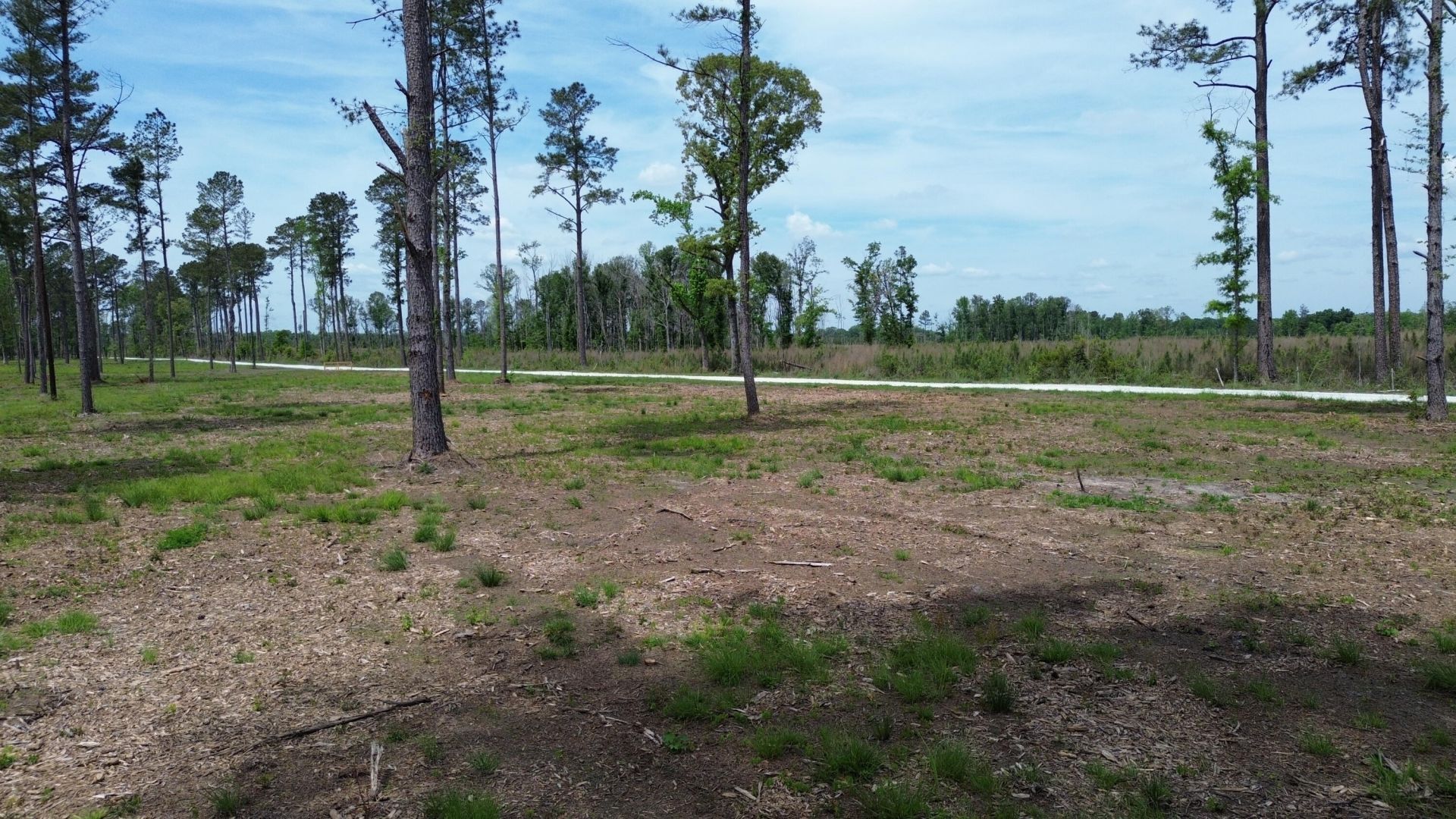 2 Highway 27 Photo 7