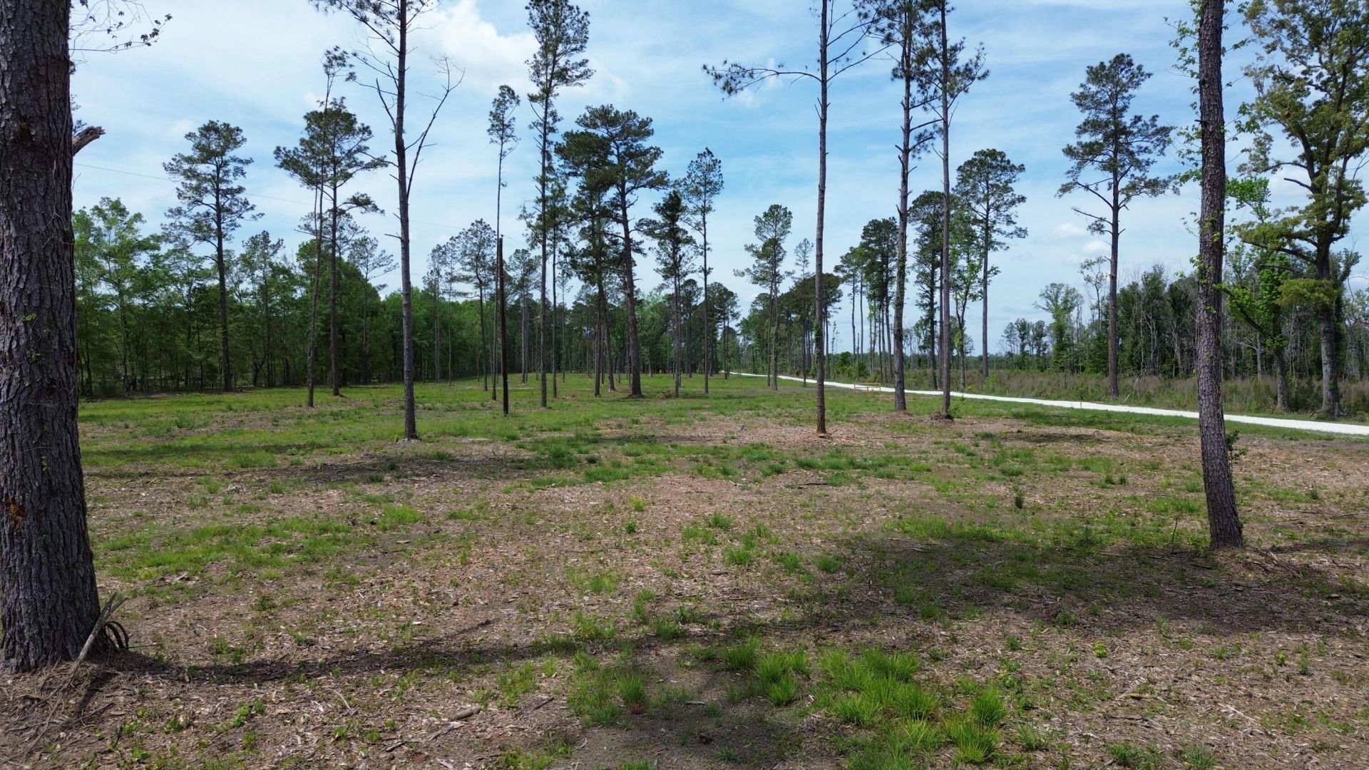 2 Highway 27 Photo 8