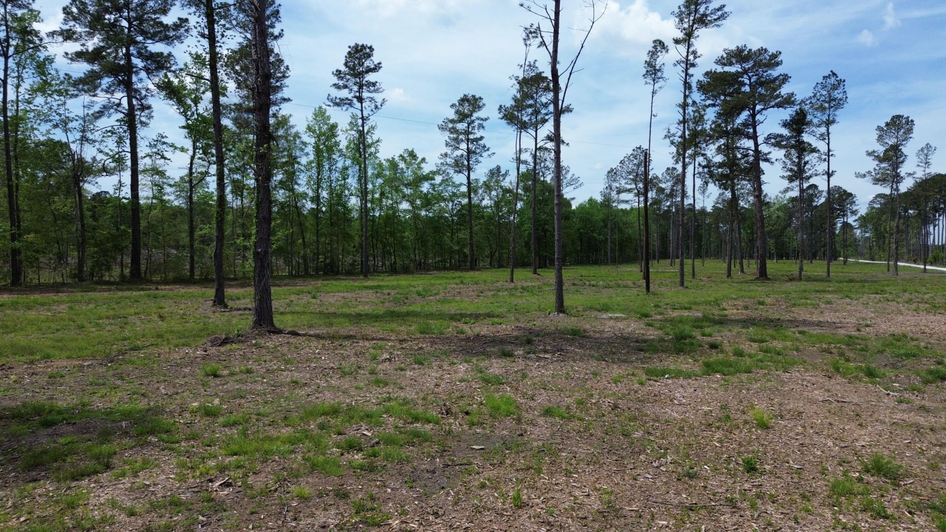 2 Highway 27 Photo 9