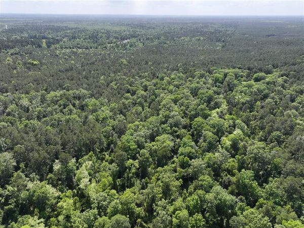 ELMORE MCKIGNEY LN Lane, Springfield, LA 70462