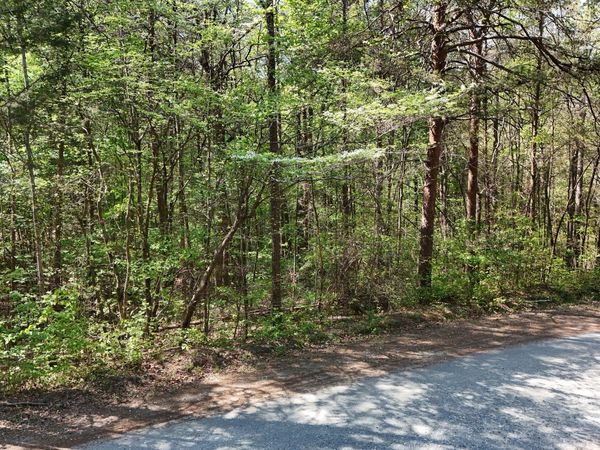 0 Holcomb North Drive, Martin, GA 30557