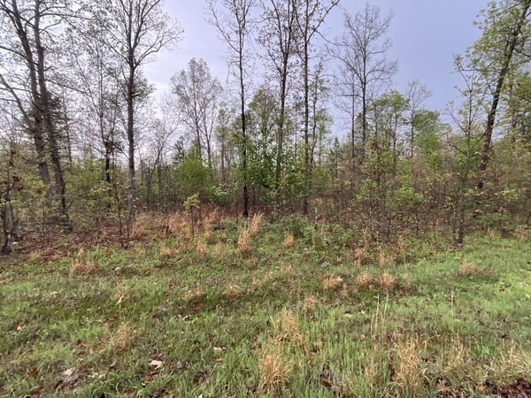 Lot 9 Lake Way, Winona, MO 65588
