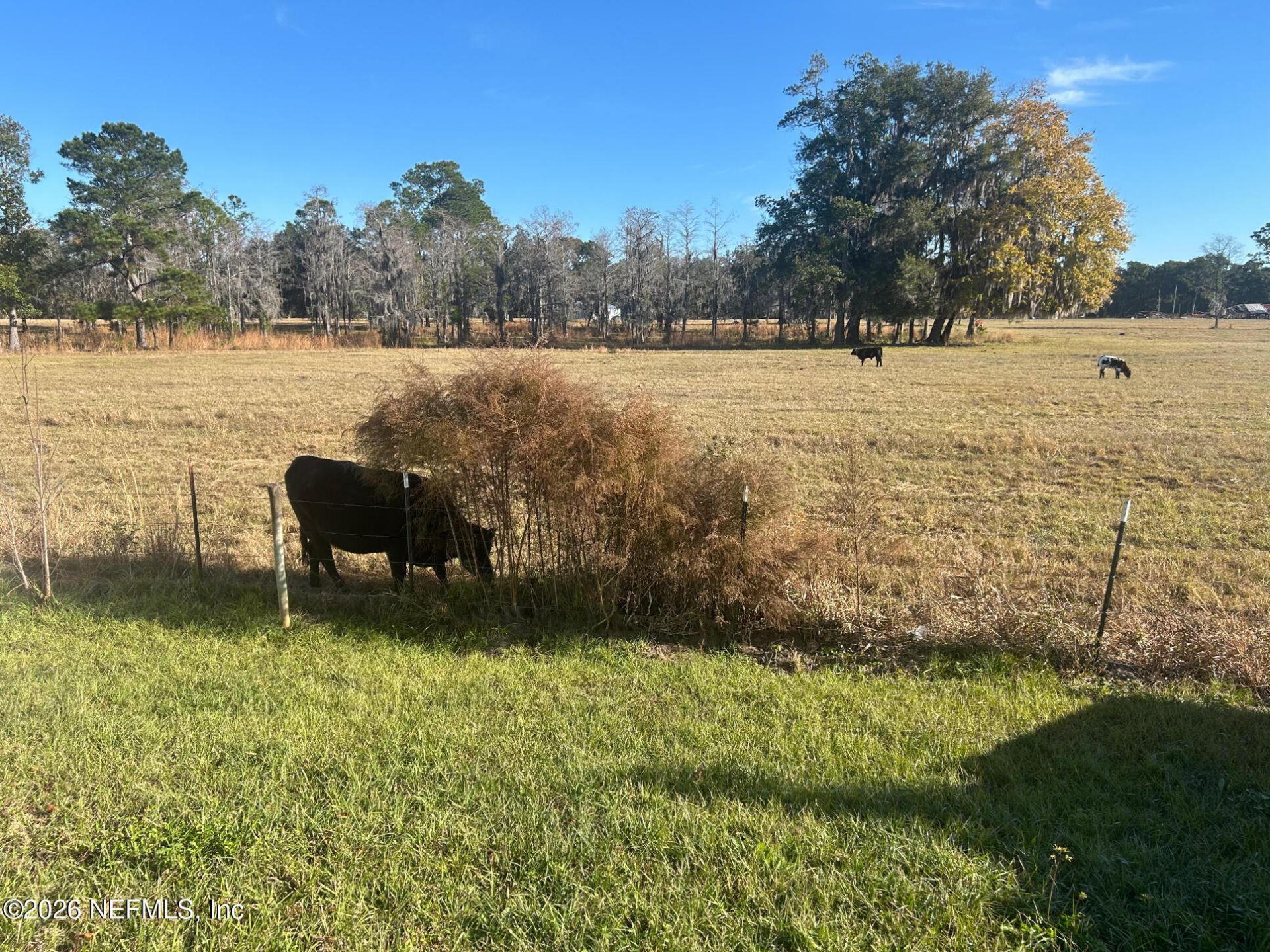 2734 Oak Stream Drive, Green Cove Springs, FL 32043 Photo