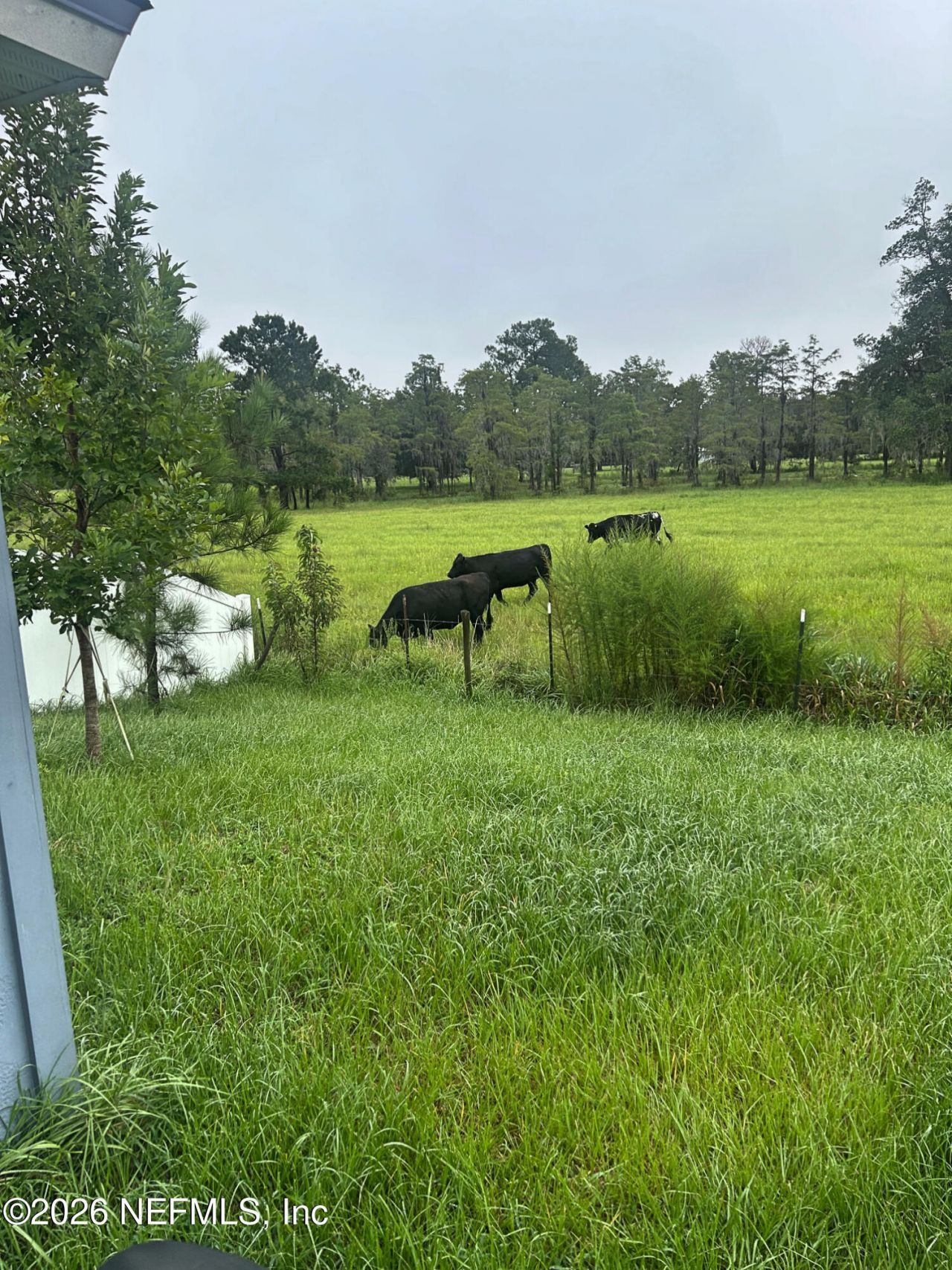 2734 Oak Stream Drive, Green Cove Springs, FL 32043 Photo