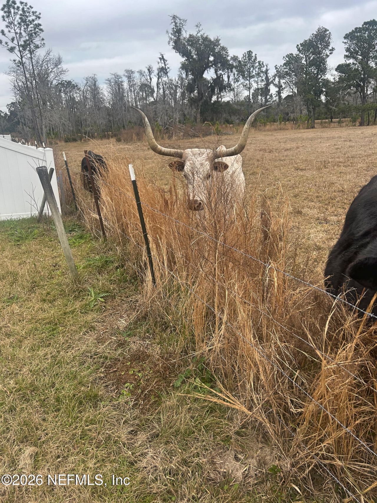 2734 Oak Stream Drive, Green Cove Springs, FL 32043 Photo