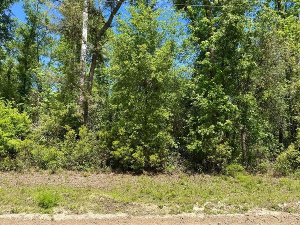 LOT41 NW BLUE JAY TRAIL, Jennings, FL 32053