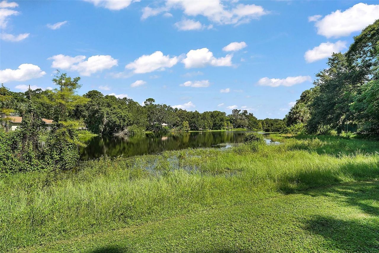 705 Summit Court , Mount Dora, FL 32757 Photo