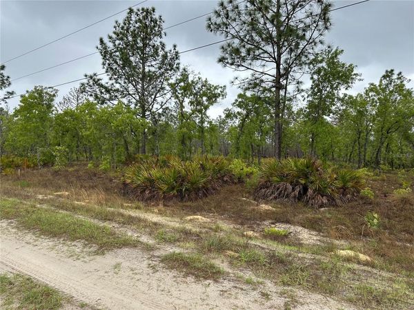 SW 95TH PL , DUNNELLON, FL 34432