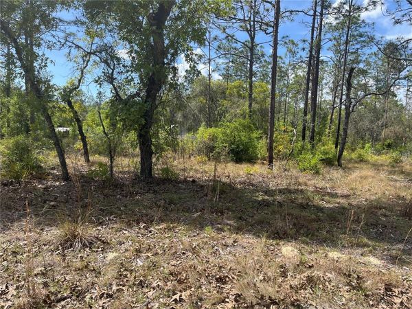 NE 96 AVENUE, Unit LOT 5, BRONSON, FL 32621