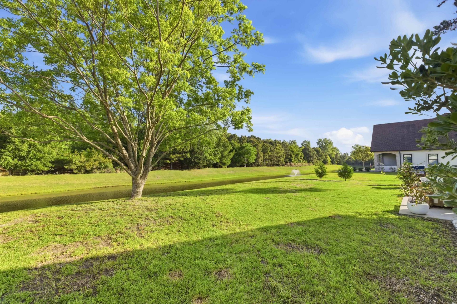 987 Shipmaster Ave. Photo 32