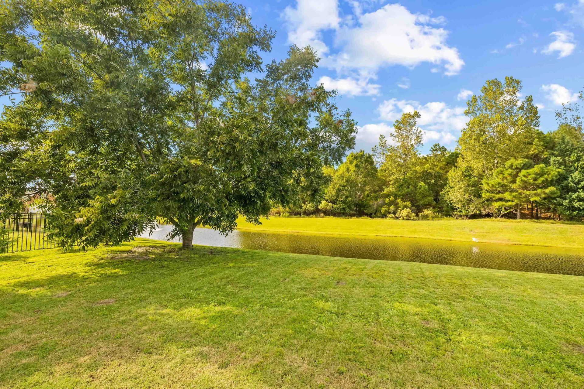 987 Shipmaster Ave. Photo 33