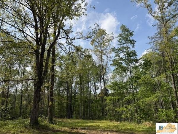 2328 Fisher Ridge Road, Horse Cave, KY 42749