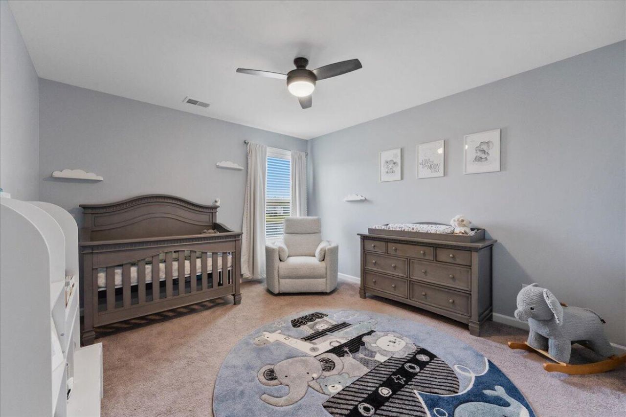 260 Dunlin Drive Photo 25