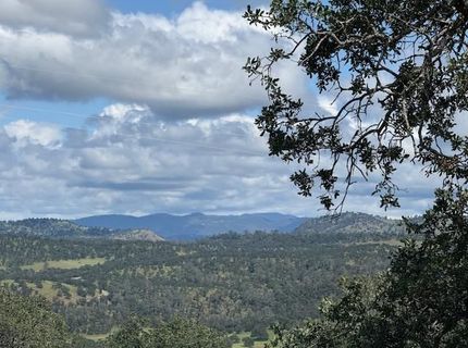 3982 Arrowhead St, Copperopolis, CA 95228 Photo