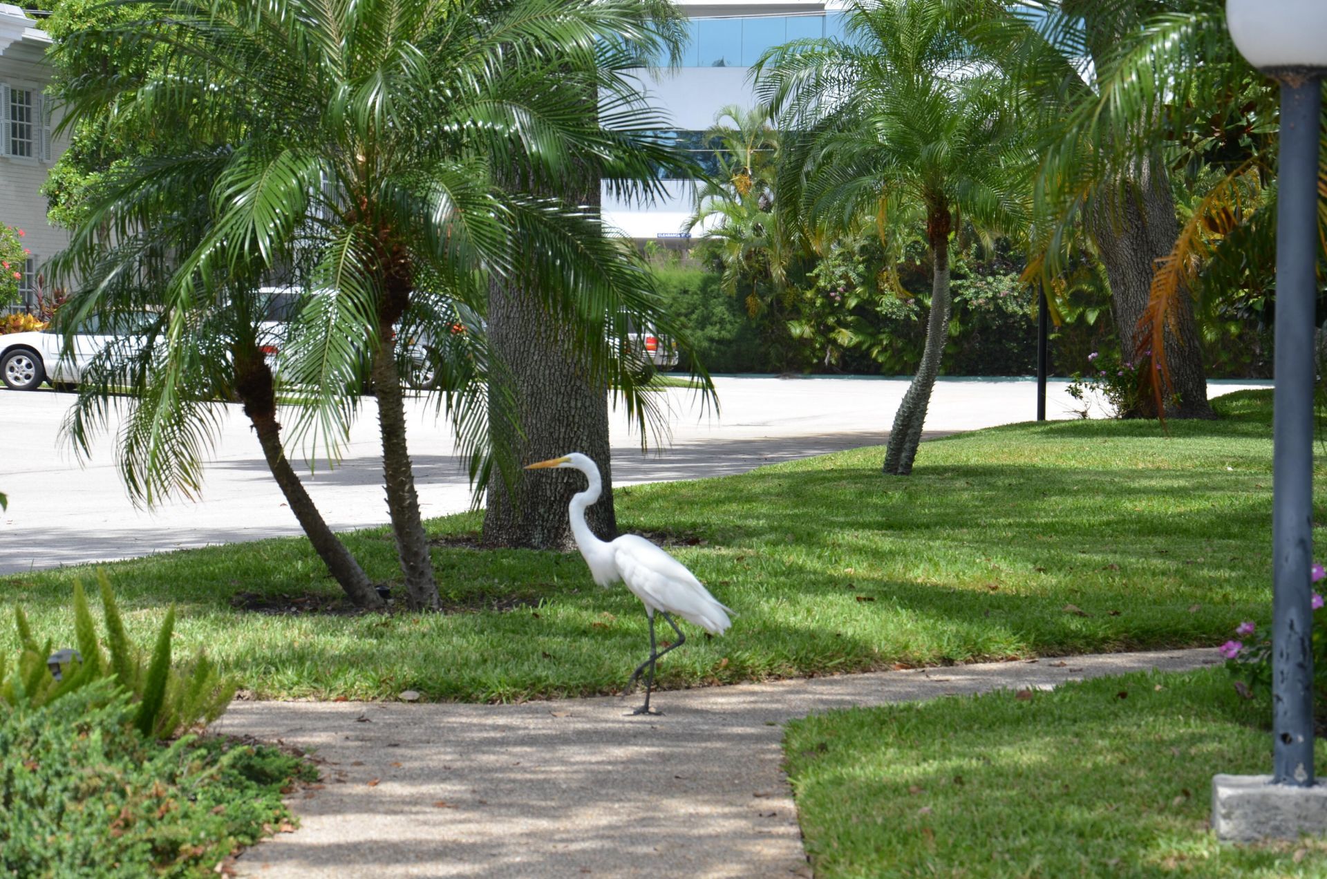 6367 Bay Club Drive, Unit 3, Fort Lauderdale, FL 33308 Photo