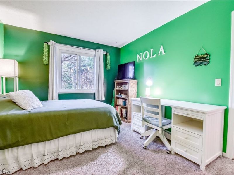 3872 Green Street, Perry, OH 44081 Photo 19