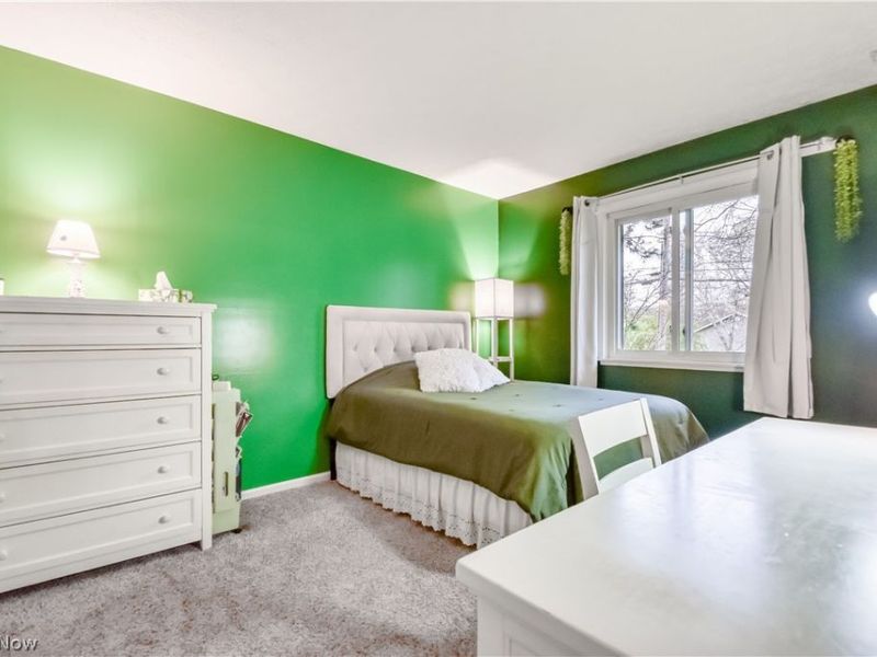 3872 Green Street, Perry, OH 44081 Photo 20