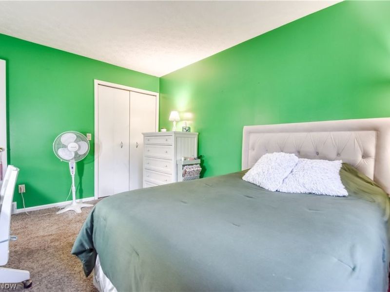 3872 Green Street, Perry, OH 44081 Photo 21