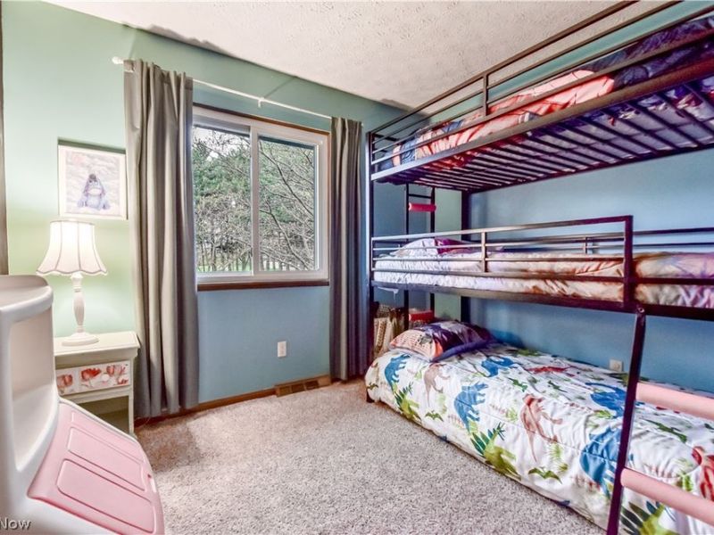 3872 Green Street, Perry, OH 44081 Photo 22